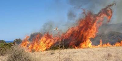 Zambak Tatil köyü yakınlarında yangın