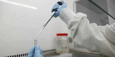 Güney, kuzeyin aşı planını bekliyor