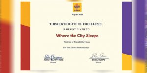 DAÜ öğrencisi, En İyi Senaryo Ödülü’ne layık görüldü