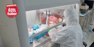 57 günde 74 bini aşkın PCR