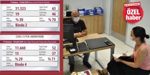 % 71 erkek,  % 29 kadın