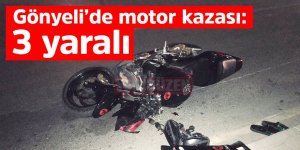 Motor sürücüsü yayalara çarptı