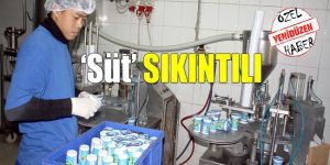Süt sektörüne devlet desteği şart