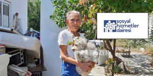 "Tahir'e yardımcı olmaya çalıştık"