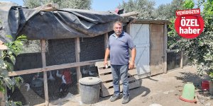 “Başımıza saçmalar yağıyor”