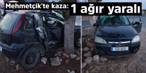 Yolun solundan çıktı, selvi ağacına çarptı