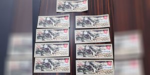 600 bin TL'nin yanında 8 adet de teselli ikramiyesi kazandı