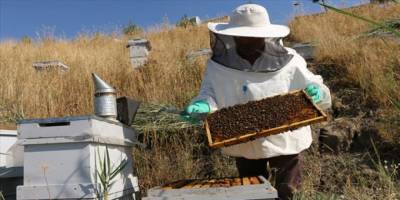 2020 yılı arıcılık kovan başı destekleme ödemesi yapılıyor