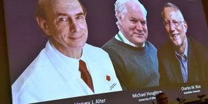 2020 Nobel Tıp Ödülü 3 bilim insanına verildi