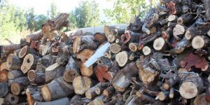 Odun satışları arttı