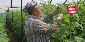 "İşler iyi ama döviz yüksek, üretim pahalı"