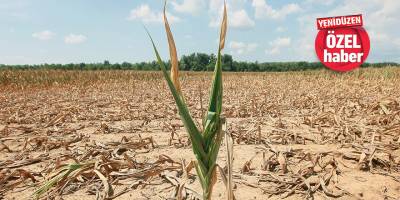 "Bu yıl yağış az…"  Kuraklık tehlikesi