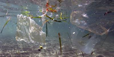 Akdeniz'de plastik facia uyarısı