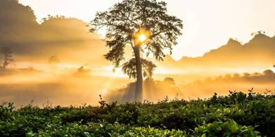 RUHUN KEŞFİ PEŞİNDE