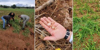 Üretici ve hayvancıların Tarım ve Hayvancılık Dairelerine başvurmaları istendi