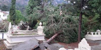Kabristanlık yıkıldı, ağaçlar devrildi
