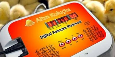 En iyi kuluçka makinesi satın alın!!