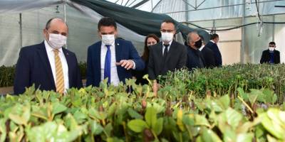 Tarımsal Araştırma Enstitüsü’nün fidan köklendirme kapasitesi 300 bine çıkartıldı