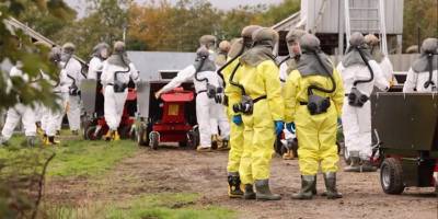 Covid - 19 bulgusu taşıyan kediler itlaf edildi