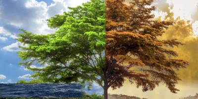 Kıbrıslı Rumların yüzde 90’ı iklim değişikliğinin ciddi bir sorun olduğunu düşünüyor