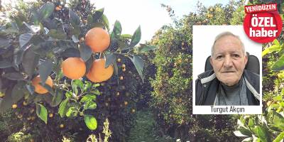 “Bu fiyatı beklemezdik”