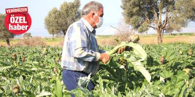 “İç piyasa yetersiz, eğer ürünümüzü Türkiye’ye ihraç edemezsek, işimiz çok zor”