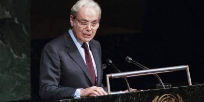 BM Güvenlik Konseyi'nin 716 Sayılı Karar