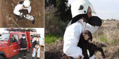 İskele'de kuyuya düşen köpek kurtarıldı
