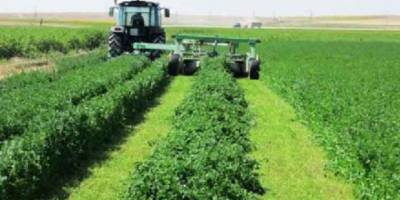 Devlet Üretme Çiftlikleri'nde yonca satışı yapılacak