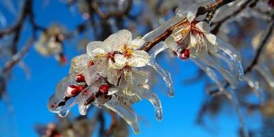 3 gün don olayı bekleniyor