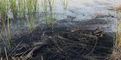 Gölete yanık lastik atıkları boşaltıldı!