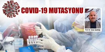 Mutasyonlu virüs vakaları, Şubat ayının ilk 10 gününde 3,5 katına çıktı