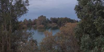 34 sulak alanı, yüzlerce kuş: Korumuyoruz!