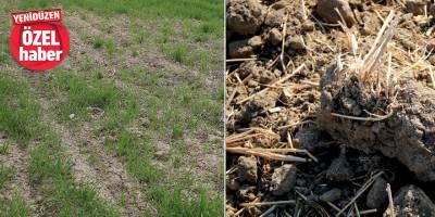 “Şu an için kaybımız %50”