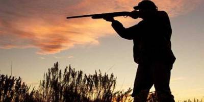 Avcılara av serbest