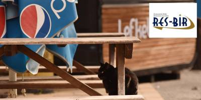 Restorancılar Birliği:  “Dayanacak gücümüz kalmadı, kurallara tam uyacağız, bizi açın”