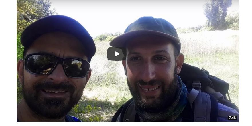 Birleşik Kıbrıs için yürüdüler